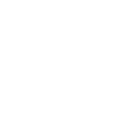 Logo del portafolio